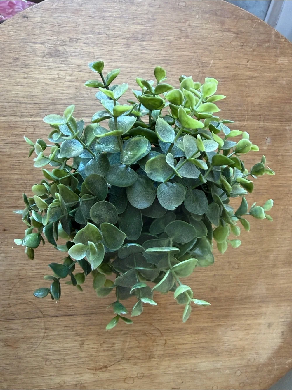 IKEA Green Faux Eucalyptus in Black Pot